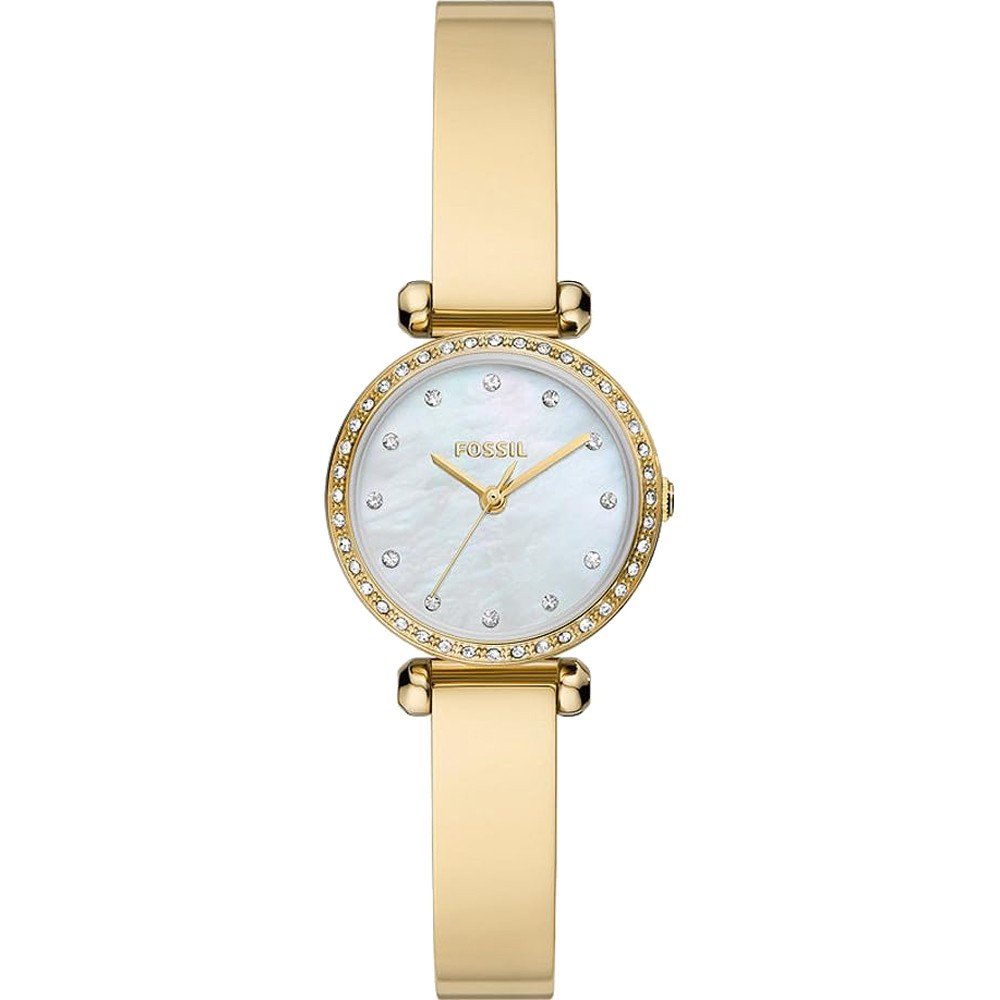 Fossil Glasbeschermer voor Tillie Mini BQ3895