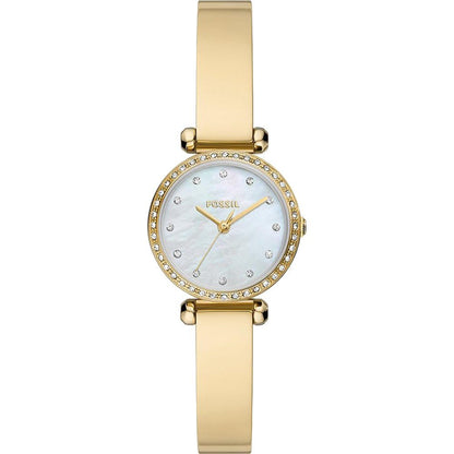 Fossil Glasbeschermer voor Tillie Mini BQ3895