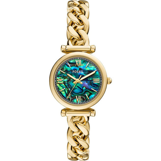 Fossil Glasbeschermer voor Carlie ES5416