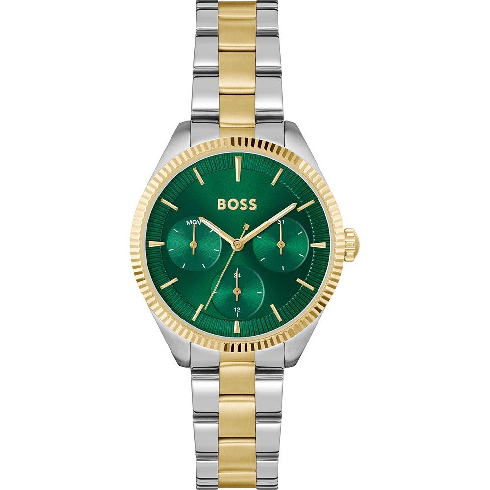 Hugo Boss Glasbeschermer voor Sage Sport HB.559.3.20.4182