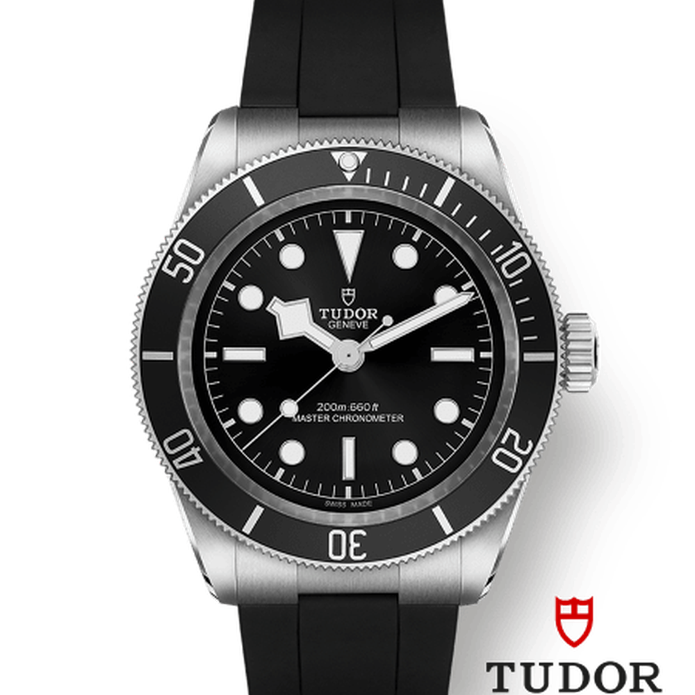 Tudor 7941a1a CHG030000 m7941a1a0nu-0002