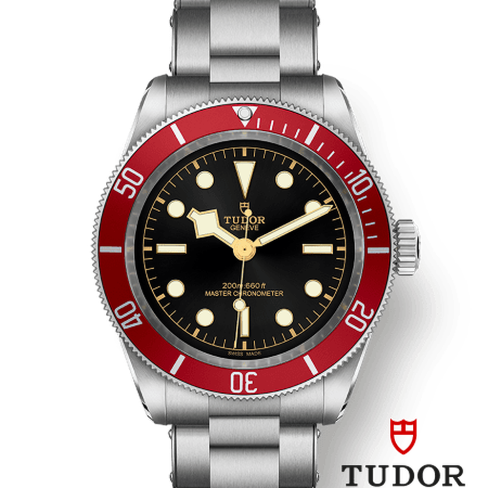 Tudor 7941a1a CHG030000 m7941a1a0ru-0001