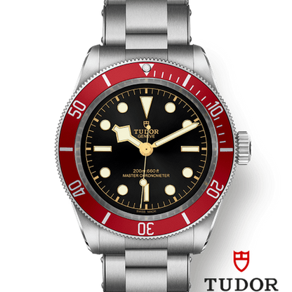 Tudor 7941a1a CHG030000 m7941a1a0ru-0001