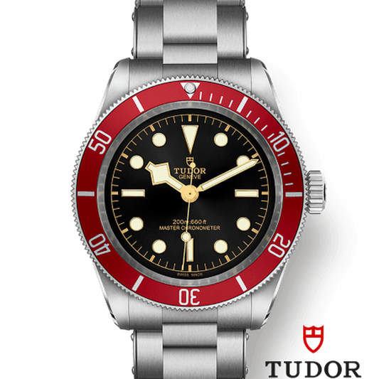 Tudor 7941a1a CHG030000 m7941a1a0ru-0001