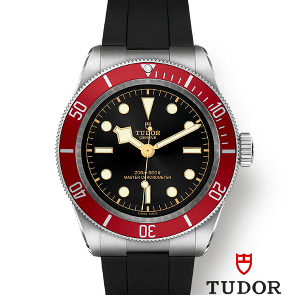 Tudor 7941a1a CHG030000 m7941a1a0ru-0002