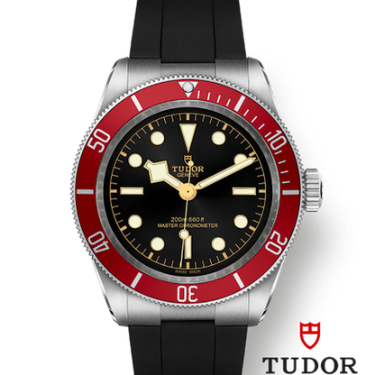 Tudor 7941a1a CHG030000 m7941a1a0ru-0002