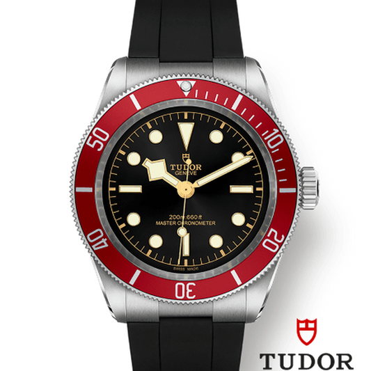 Tudor 7941a1a CHG030000 m7941a1a0ru-0002
