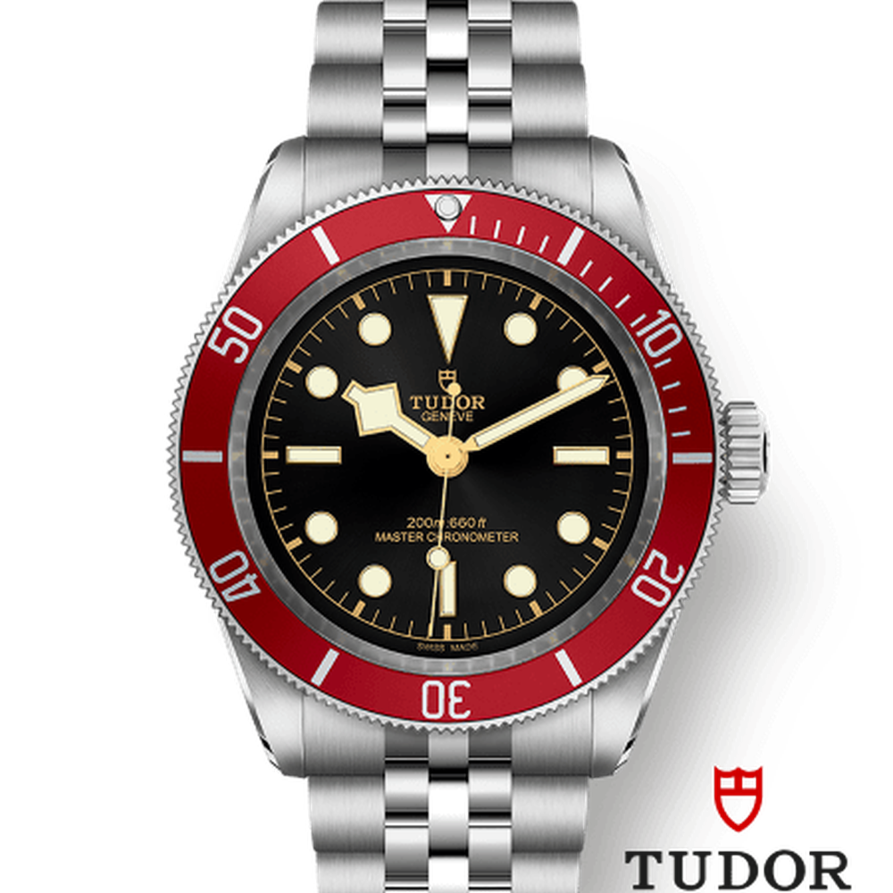 Tudor 7941a1a CHG030000 m7941a1a0ru-0003
