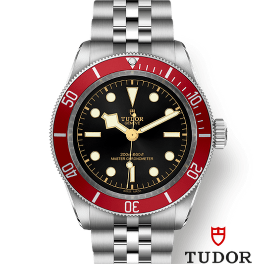 Tudor 7941a1a CHG030000 m7941a1a0ru-0003