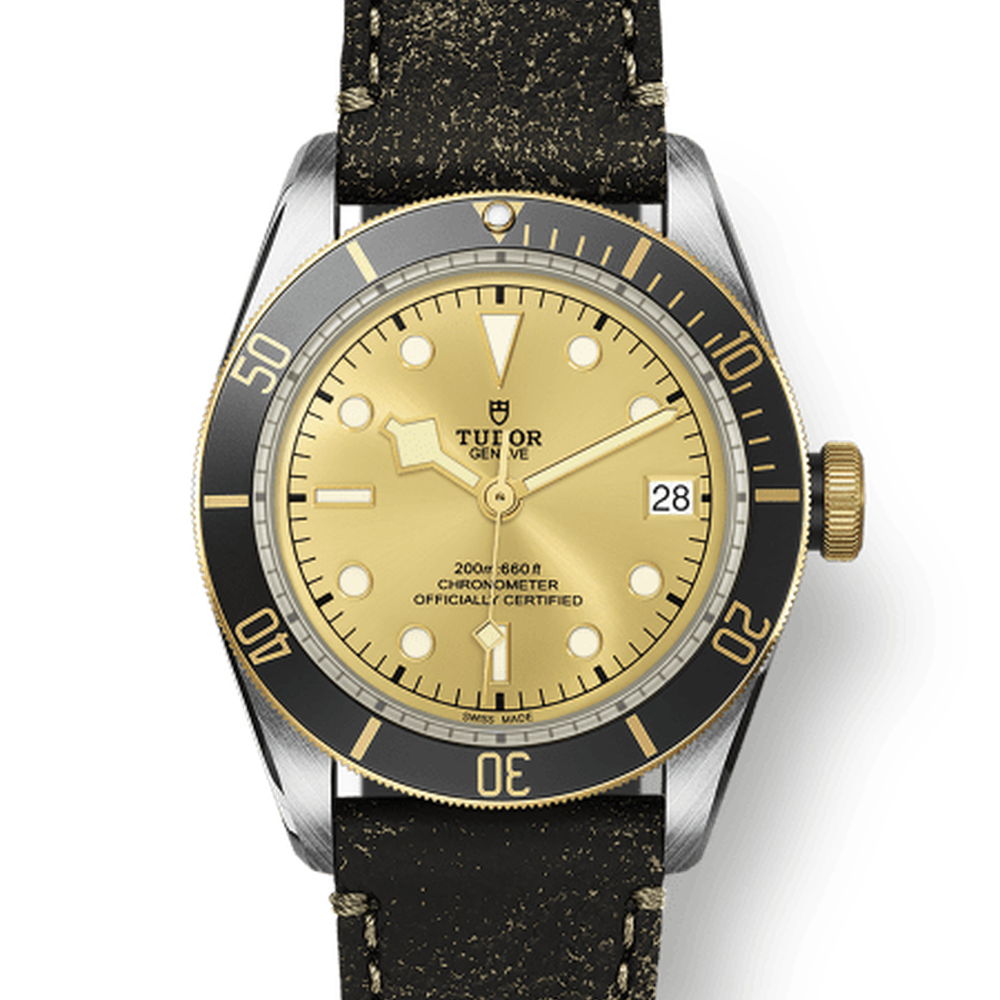 Tudor 79733 CHG030000 m79733n-0003