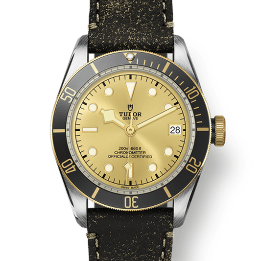 Tudor 79733 CHG030000 m79733n-0003