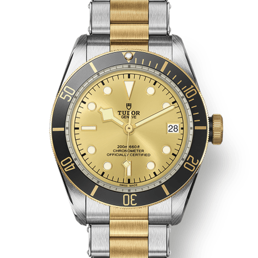 Tudor 79733 CHG030000 m79733n-0004