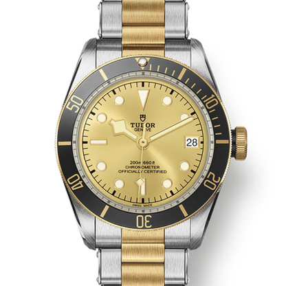 Tudor 79733 CHG030000 m79733n-0004