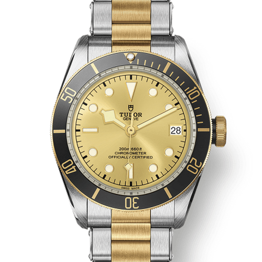 Tudor 79733 CHG030000 m79733n-0004