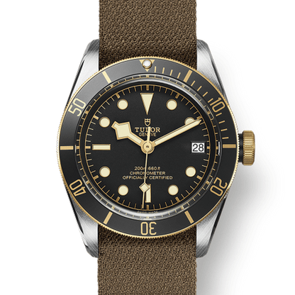 Tudor 79733 CHG030000 m79733n-0005