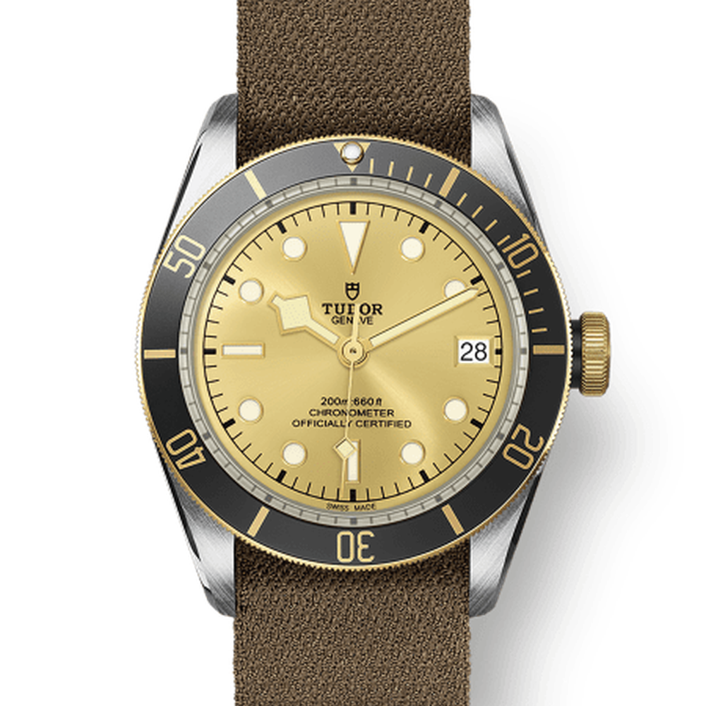 Tudor 79733 CHG030000 m79733n-0006