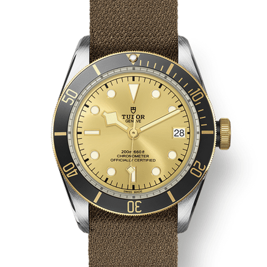 Tudor 79733 CHG030000 m79733n-0006