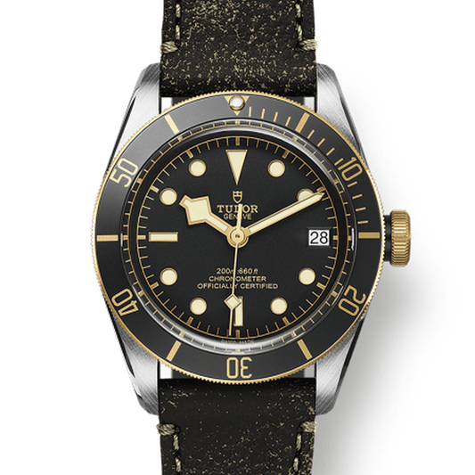 Tudor 79733 CHG030000 m79733n-0007