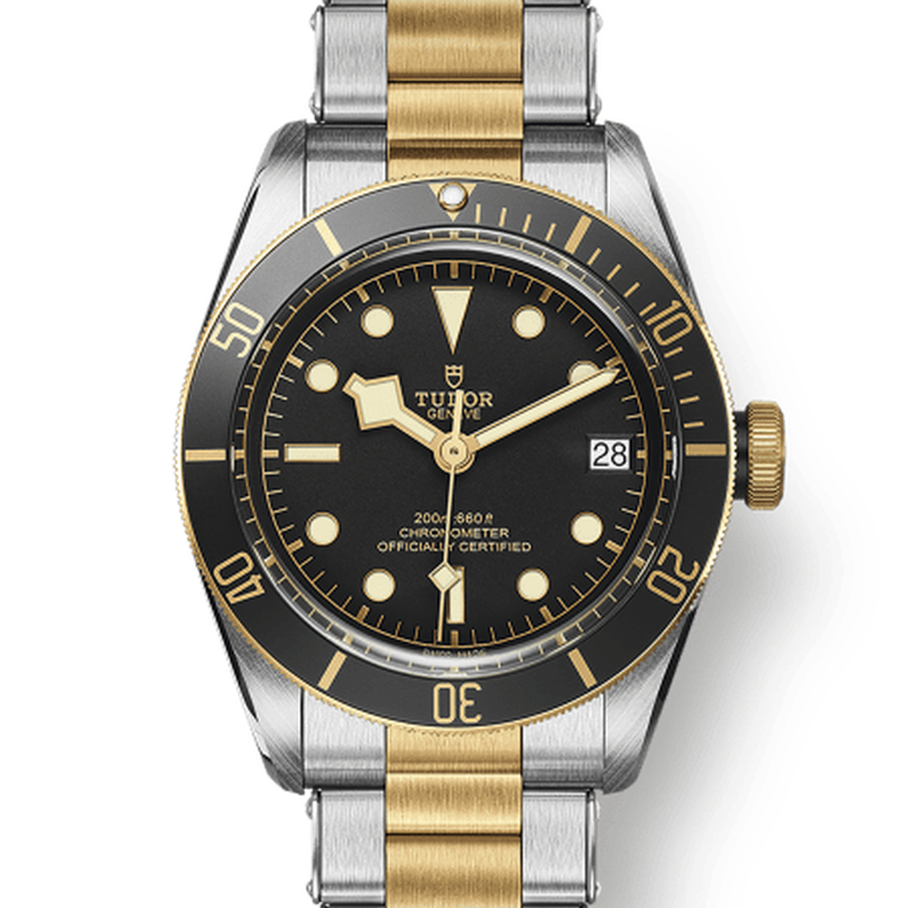 Tudor 79733 CHG030000 m79733n-0008