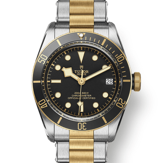 Tudor 79733 CHG030000 m79733n-0008